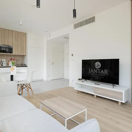 Shellter Apartments 117 L - By Jantar Apartamenty Rogowo  Exterior photo
